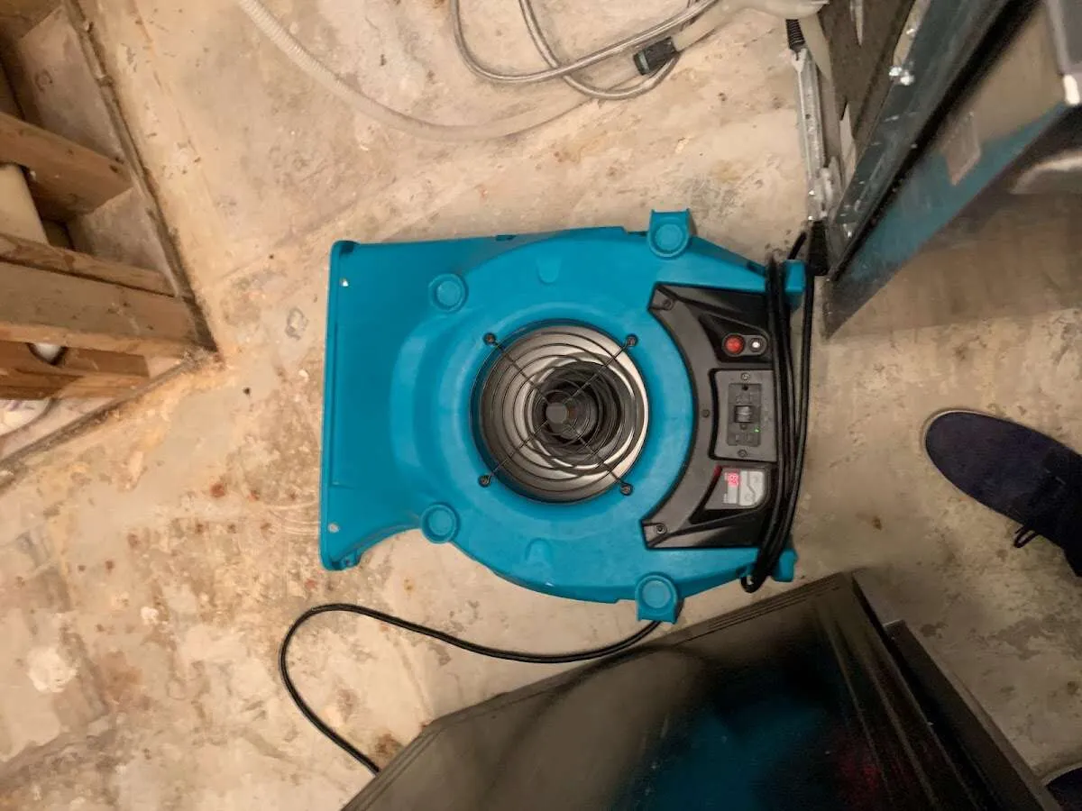 Air mover drying equipment for Mold Remediation & Removal in Hawthorne