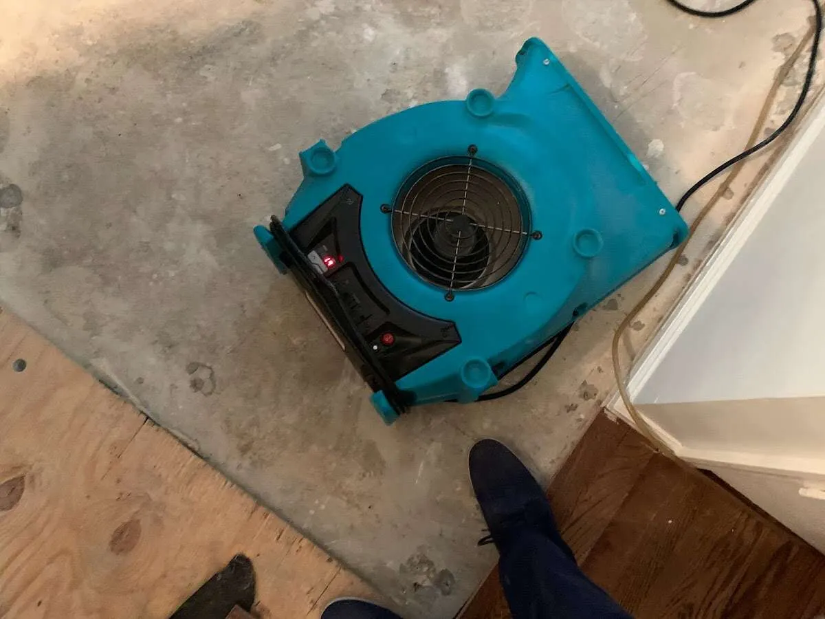 Air mover drying subfloor during Commercial Water Damage Restoration in Hawthorne